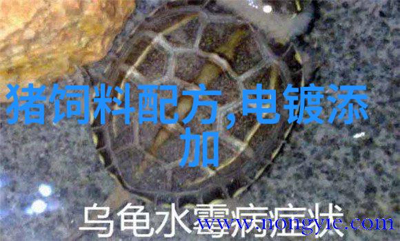 月见草油的营养价值